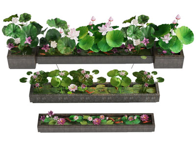 新中式花池 荷花 金鱼 景观园艺小品