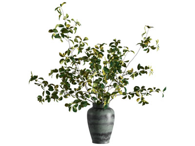 现代花瓶花卉