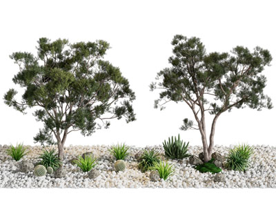 现代石子 松树 花草景观园艺小品