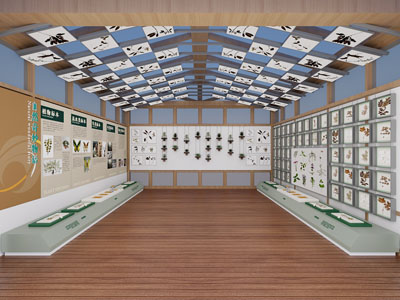现代植物标本展厅展览