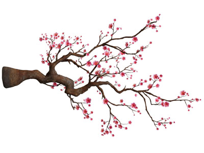 新中式梅花树枝 墙饰