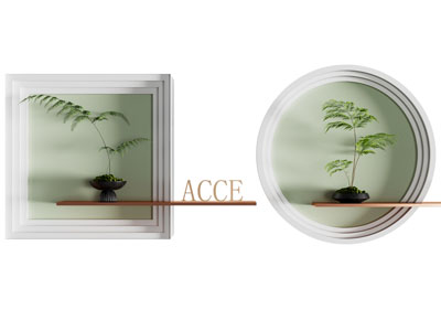 植物墙饰 绿植挂饰