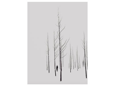 现代挂画
