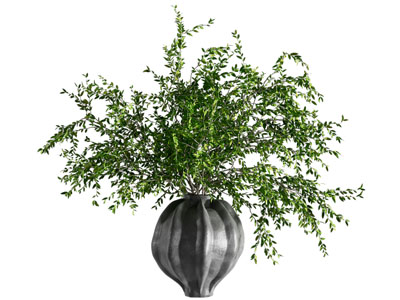 现代花瓶花卉