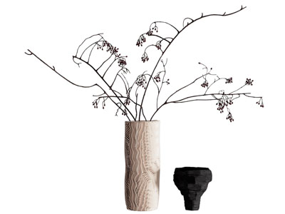 现代花瓶花卉