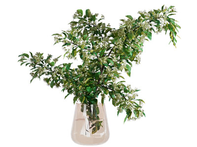 现代花瓶花艺水培绿植