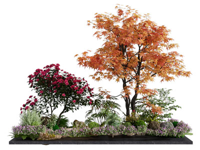现代植物景观园艺小品