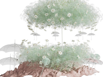 现代花卉