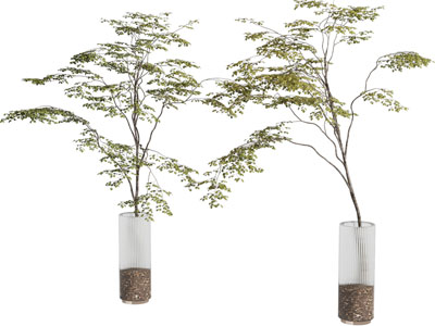 现代玻璃花瓶花卉