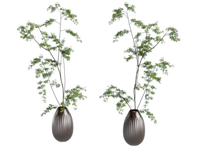 植物摆件