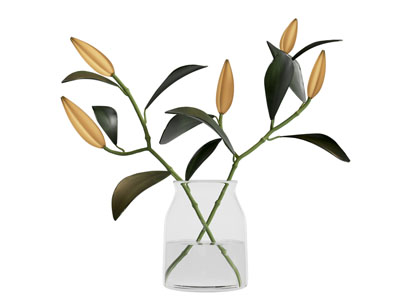 花瓶绿植 花瓶干支 花瓶 植物