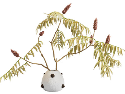 现代花瓶 现代花瓶 花艺