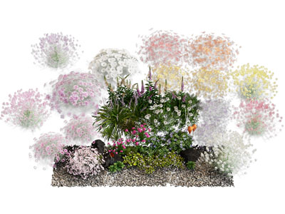 花草花卉