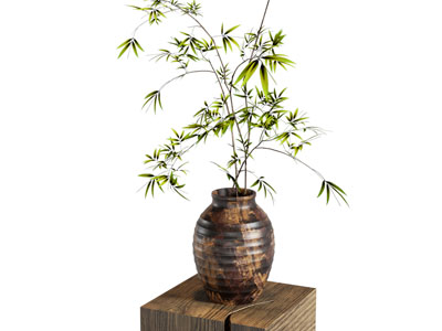 侘寂花艺 中古花艺 新中式花艺 现代花艺 花瓶