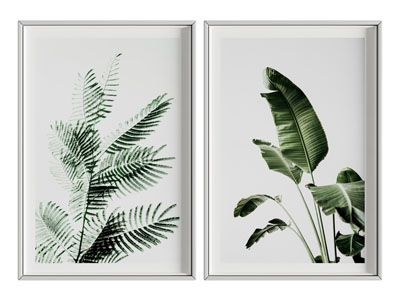 植物挂画 装饰画