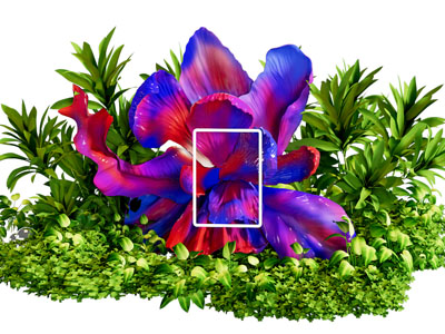 美陈透明艺术花艺