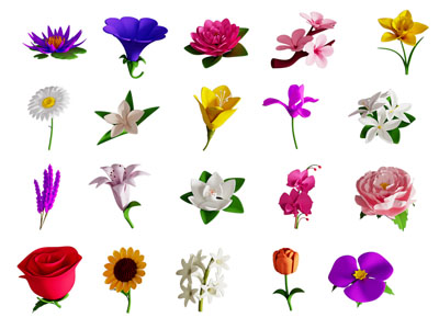 蓝莲花等花卉