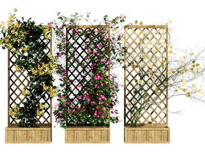 现代藤蔓花架绿植墙