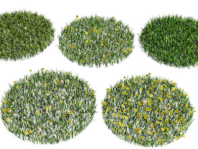 草地 草坪