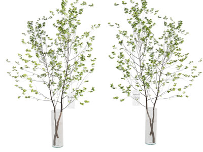 现代花瓶花卉