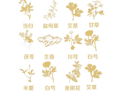 新中式中草药剪影