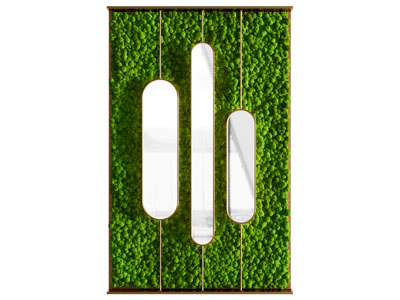 苔藓植物墙