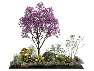 现代花池 花草树木景观园艺小品