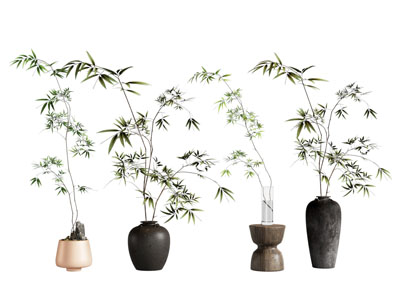 侘寂风花盆花卉盆景盆栽植物