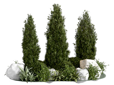 现代柏树 花草 石头景观园艺小品