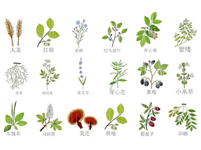 D现代剪影