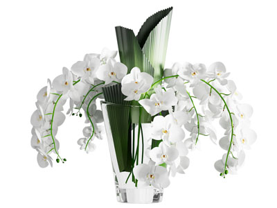 现代花瓶花卉