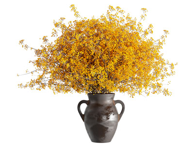 侘寂黄叶花 插花 花瓶 花艺