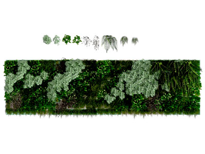 植物墙 绿植墙