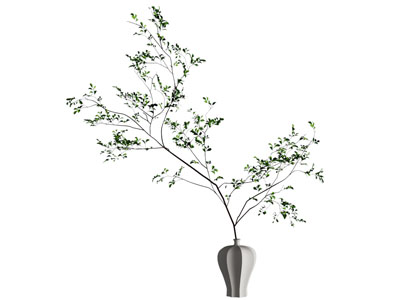 现代侘寂花瓶
