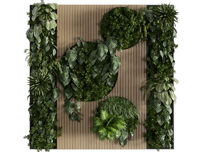 绿植墙 绿植装饰墙 植物墙 景观绿植墙 户外绿植墙 爬