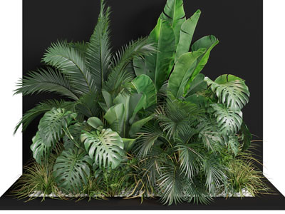 现代花池花草植物景观园艺小品