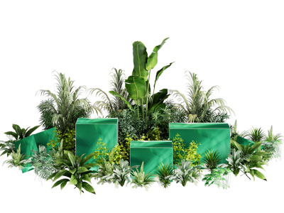 现代植物美陈 网红打卡点 绿植礼品点 商场美陈