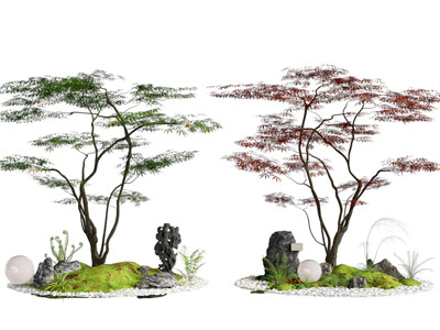 景观树 红枫景观树 鸡爪槭 庭院小品 石头 景观造景
