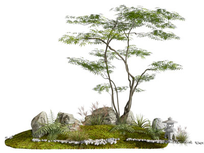 景观树 现代苔藓景观树 苔藓植物 庭院景观