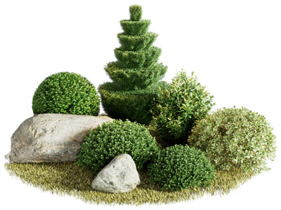 现代花草 灌木植物景观园艺小品