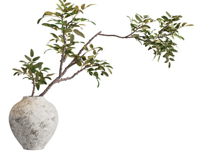 现代花艺 现代花艺摆件 花瓶花艺 鲜花 插花花艺 绿植