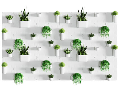 绿植墙