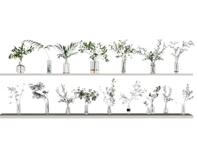 玻璃花瓶绿植组合