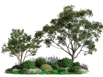 植物堆 植物组团花镜 堆坡 造型乔木 地被灌木组合