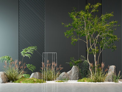 植物小景