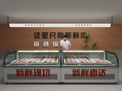 冰柜 冷藏冷冻肉柜 展示冷藏冰柜 广告灯箱 烧烤店自选