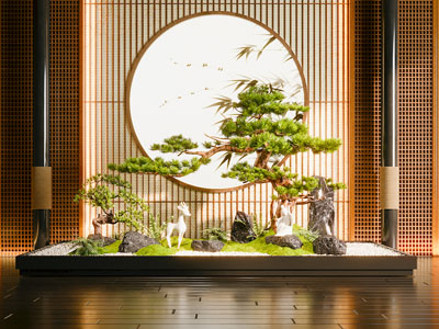 新中式室内景观 植物造景 松树 苔藓 景观石
