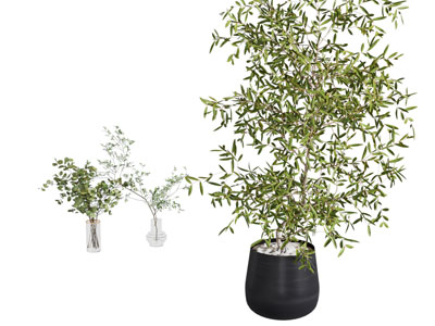 现代花草组合