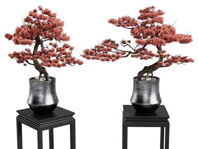 花瓶盆景 罗汉松盆景 古建筑装饰吊灯 花瓶花架