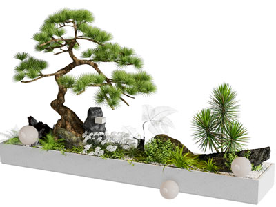 新中式室内景观 松树景观造景 庭院景观 庭院小品 迎客